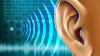 Как да поддържаме слуха си. Омега-3 подпомага вътрешното ухо