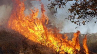 Пожарът в Източните Родопи се разраства. Тежка техника идва на помощ
