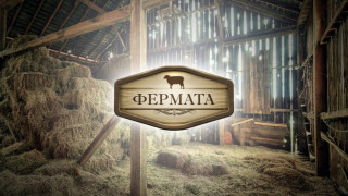 Голяма рокада в bTV. Кое предаване ще замести "Фермата"