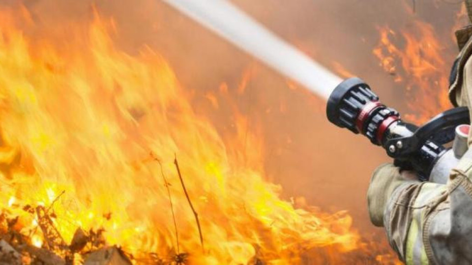 Жестоко бедствие! Пожари в Ямболско | StandartNews.com
