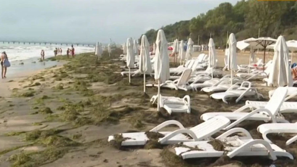 Морето полудя! Плажовете станаха блато | StandartNews.com