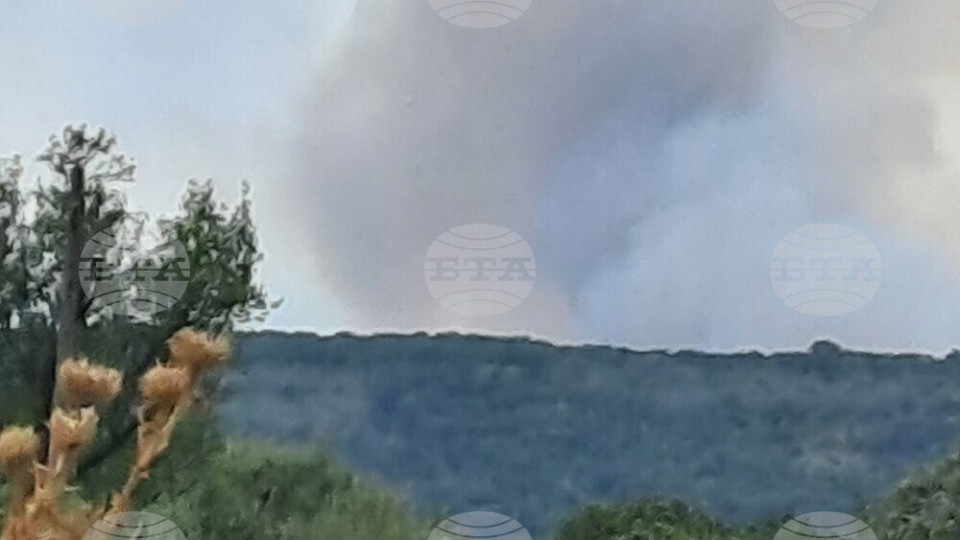 Голям пожар е избухнал в Сакар планина | StandartNews.com