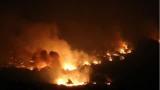 Пожар изпепели гора. Изгоряха близо 2 декара
