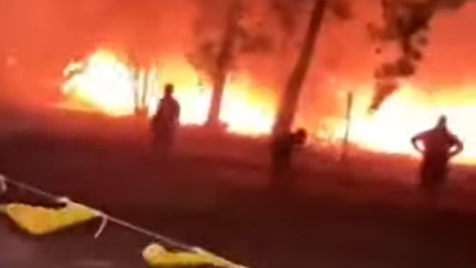 Пожарите в Гърция не стихват. Разкриха причината | StandartNews.com