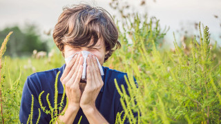 Един изпитан лек срещу пролетните алергии