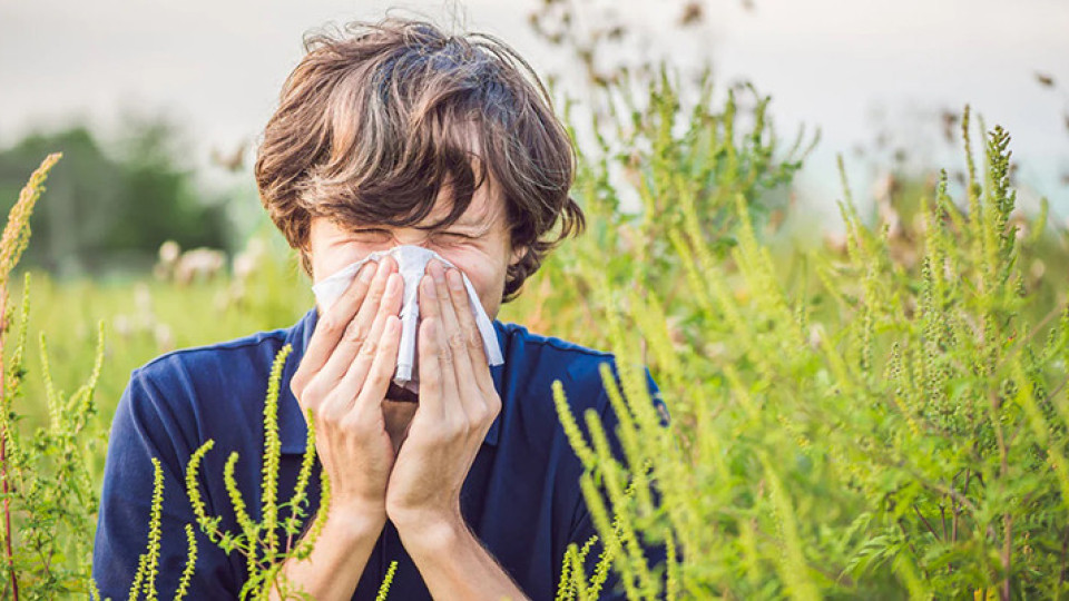 Един изпитан лек срещу пролетните алергии | StandartNews.com