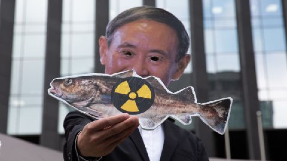Истината за рибата във водата около Фукушима | StandartNews.com