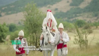 Миска, балерина и баба Дешка в новата Ферма. Изненадите