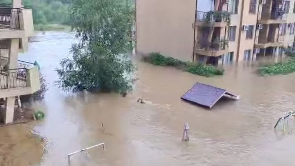 Проверки в Царево след потопа, има ли незаконна сеч | StandartNews.com
