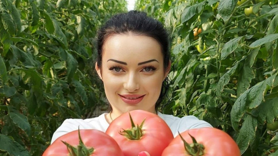 Български домати, зеле и …волейбол – има ли общо и какво ги свързва | StandartNews.com