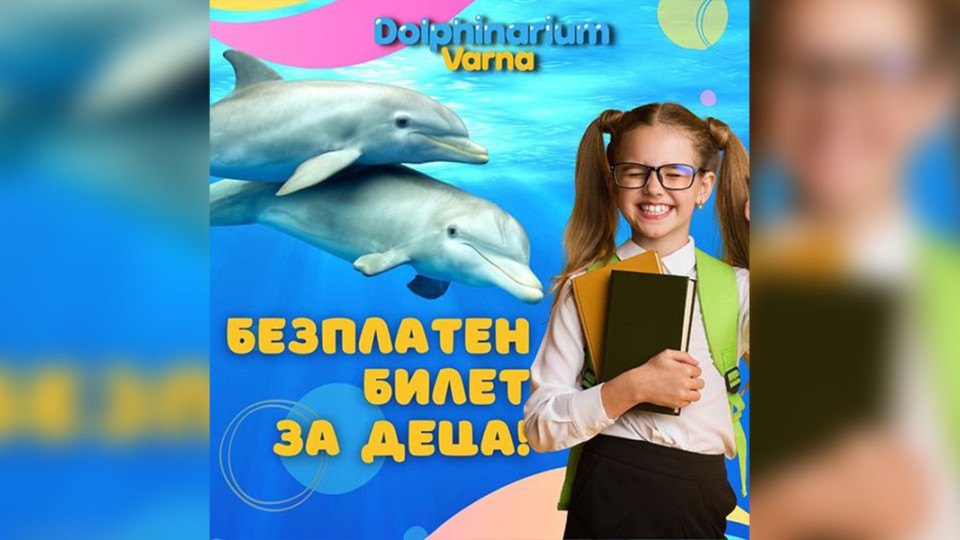 Варненският делфинариум подарява безплатен билет на децата за първия учебен ден! | StandartNews.com