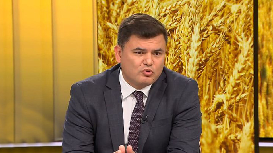 Икономист съсипа зърнопроизводителите, оправда вноса от Украйна | StandartNews.com