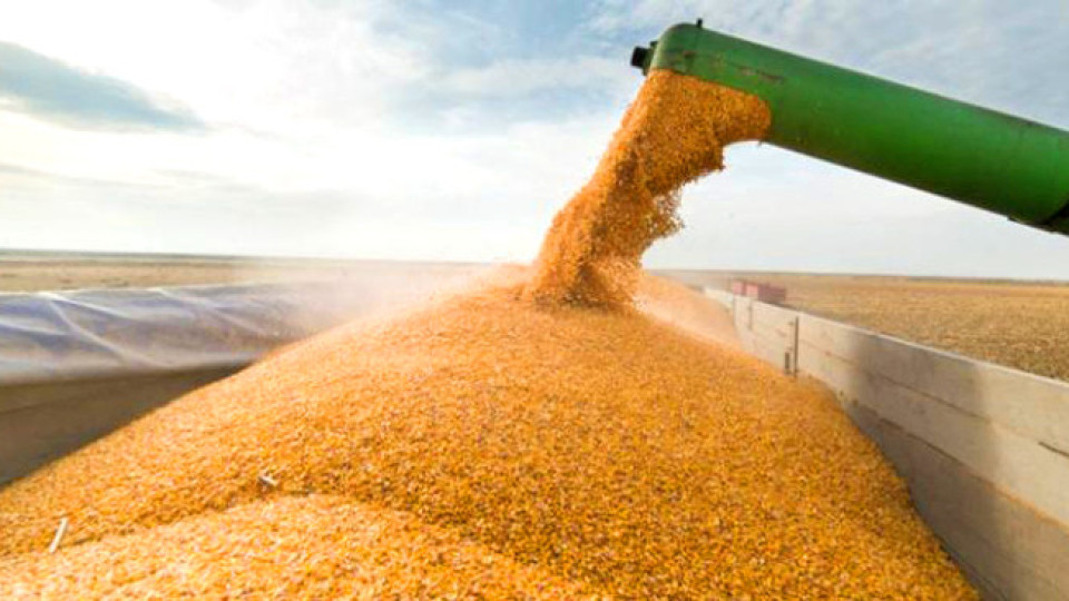 Примирие за зърното | StandartNews.com