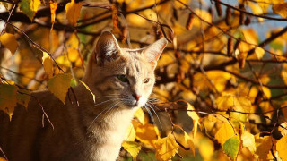 Синоптиците ни зарадваха. Вятърът утихва, слънцето се усмихва