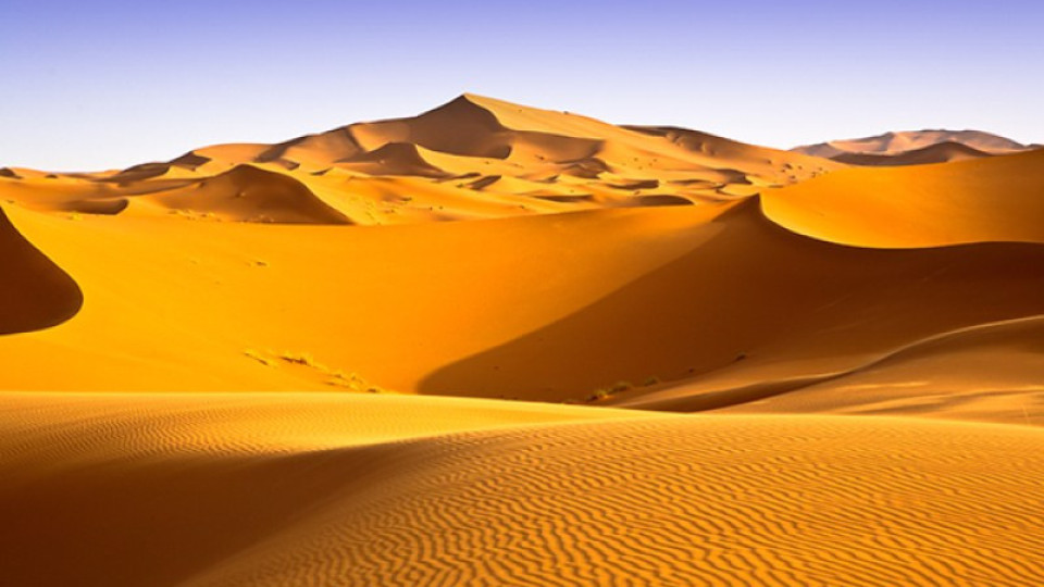 Изумително! В какво ще се превърне Сахара | StandartNews.com