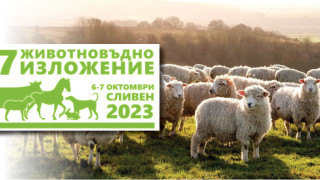 Уникалното “зелено” овче сирене представат на „Срещата на елита“ в Сливен