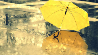 Мистериозен жълт дъжд във Варна. Невероятна причина