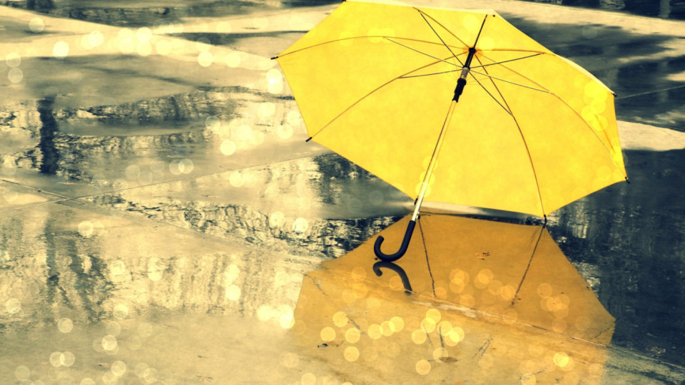 Мистериозен жълт дъжд във Варна. Невероятна причина | StandartNews.com