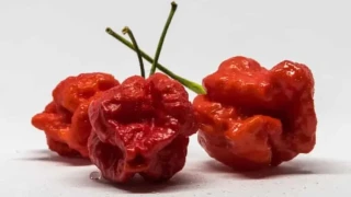 Експерт създаде най-лютата чушка
