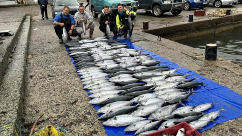 Чудо в Черно море. Рибарите ликуват | StandartNews.com