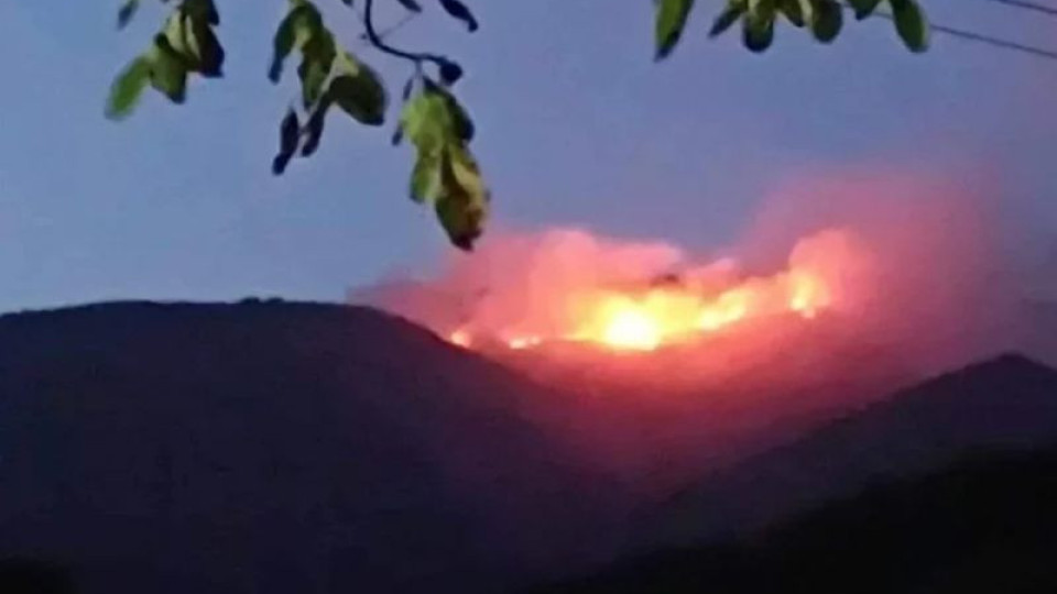 Жесток пожар гори край Своге, пожарникари се борят | StandartNews.com