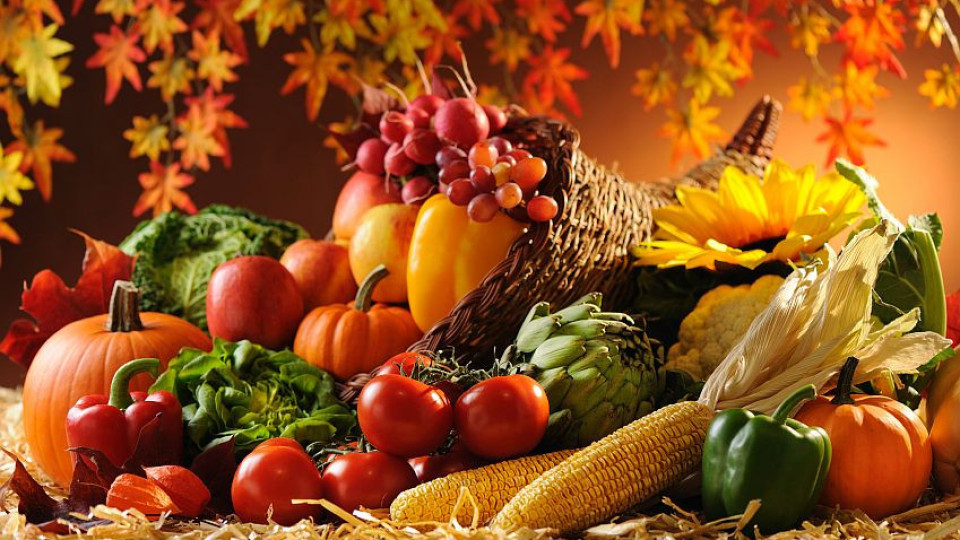 Вижте кои са трите най-полезни есенни храни | StandartNews.com