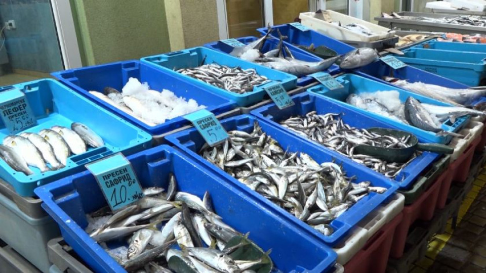 Рибата удари топ цени по морето, причината е уникална | StandartNews.com