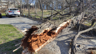 Бурята вилнее и чупи дървета. Чака ни тежка нощ