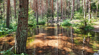 Екопътека, която крие смайващи гледки и ледникова долина