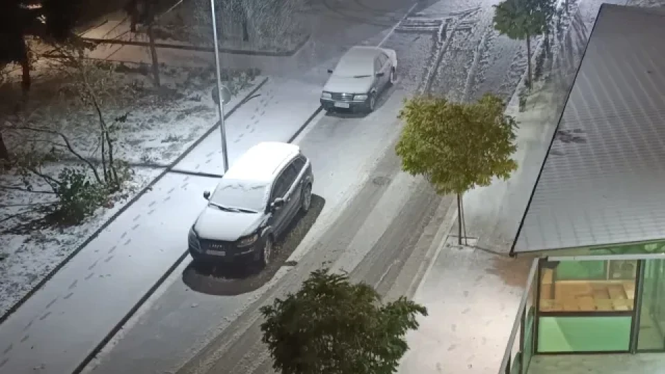 И в Добрич стана страшно. Падат дървета | StandartNews.com