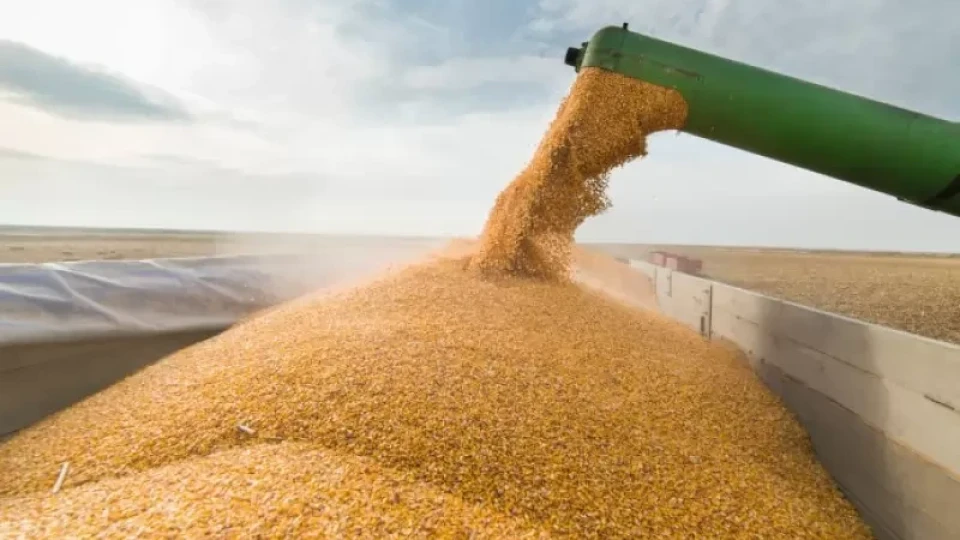 Големите планове на Русия: Колко зърно ще произведе и изнесе догодина | StandartNews.com