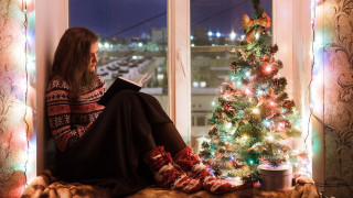 Елха за Коледа – каква и как да изберем? Вижте тези съвети