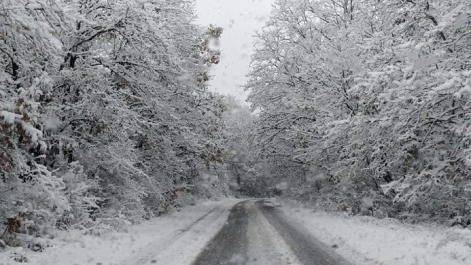 Снежно бедствие! Предупреждение към шофьорите за затворени пътища | StandartNews.com