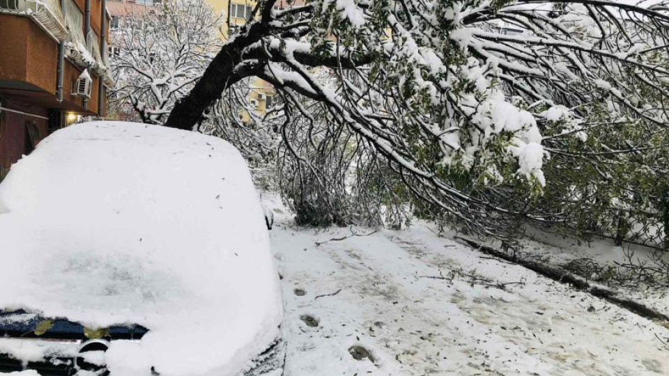 Снежният кошмар! Стотици хиляди без ток | StandartNews.com