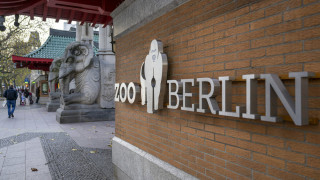 Чудо! Зоопаркът в Берлин се преобрази