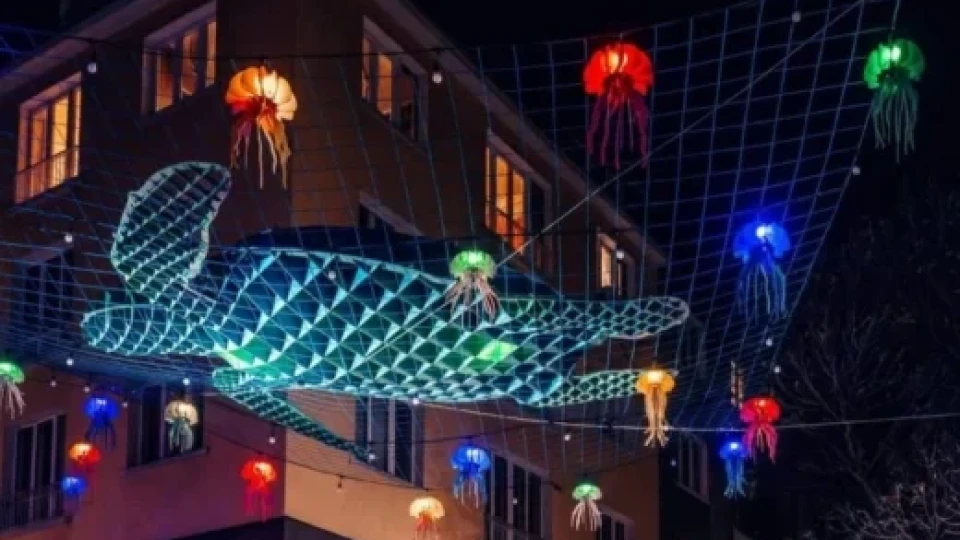 Бонев брани светещите медузи, София се забавлява | StandartNews.com