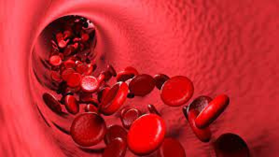 Минироботи ще следят кръвта, предупреждават за инфаркти | StandartNews.com