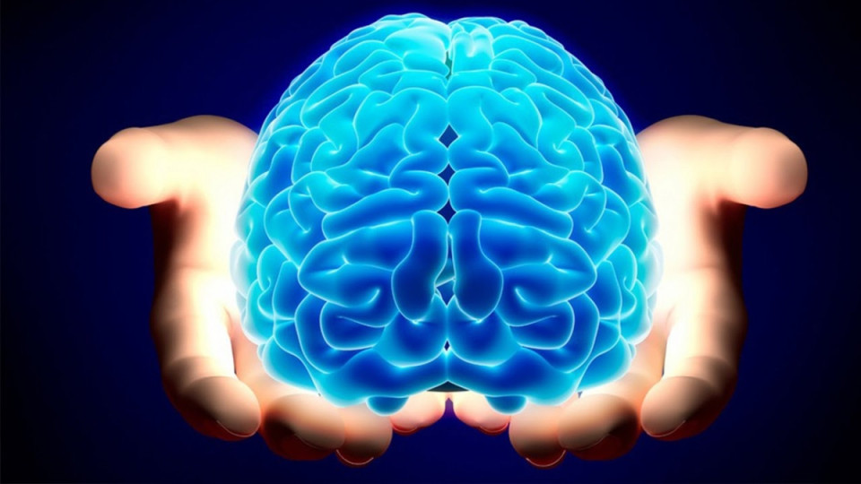 Падна тайната кои са суперхраните, полезни за мозъка | StandartNews.com