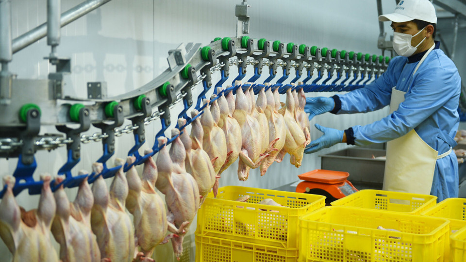 Голяма опасност с пилешкото месо в Русия! Путин взе мерки | StandartNews.com