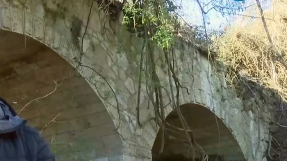 Забравено място разкрива загадъчен мост | StandartNews.com