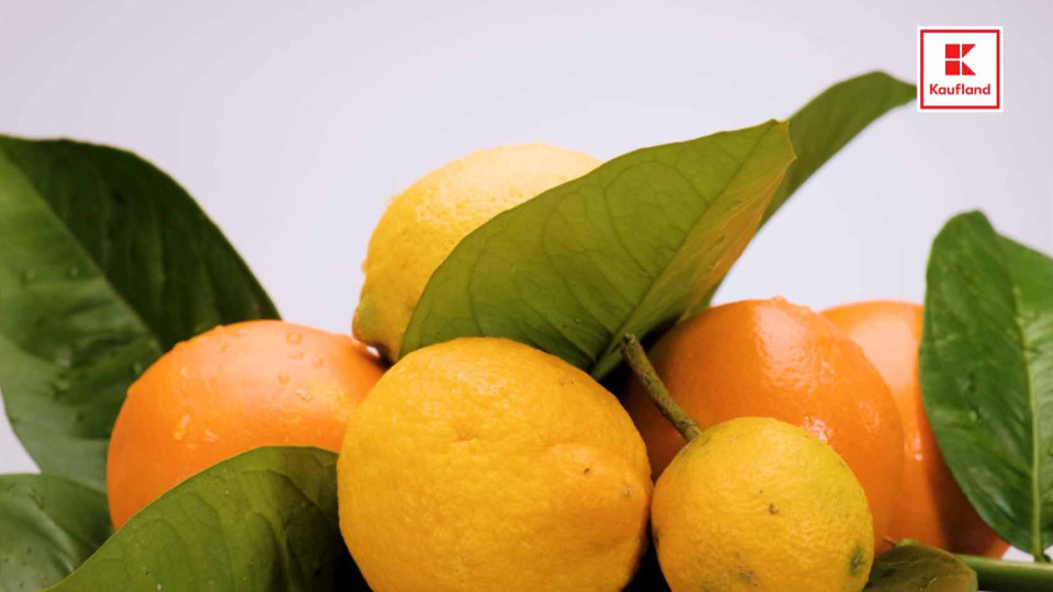 Търсенето на цитрусови плодове се е повишило с 20% през 2023 г. | StandartNews.com