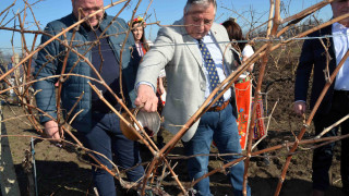 С ритуално зарязване на университетските лозя Тракийски университет отбеляза Трифон Зарезан