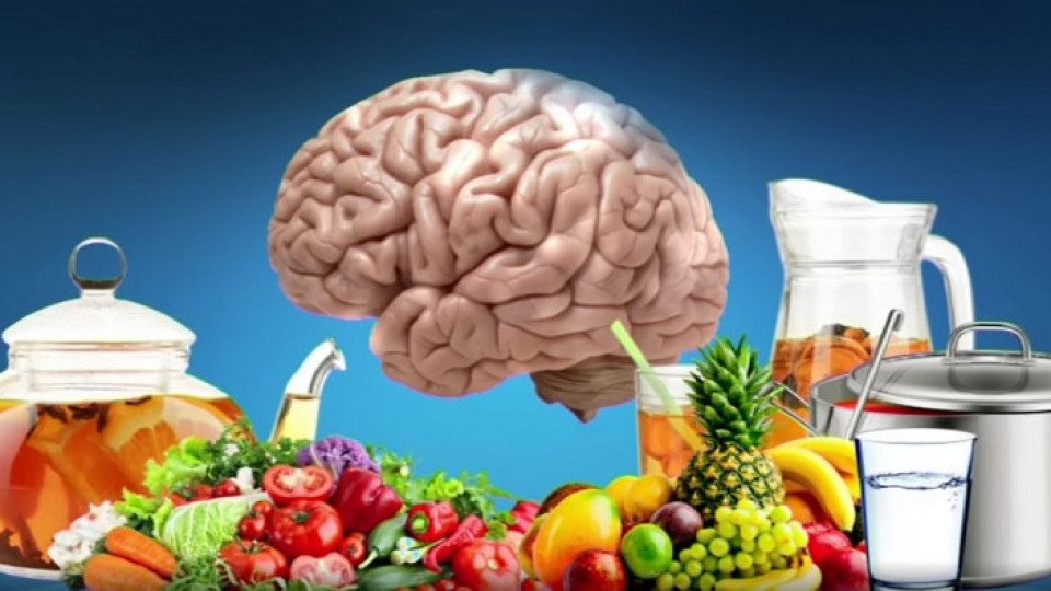 Внимание! Тези храни увреждат мозъка | StandartNews.com