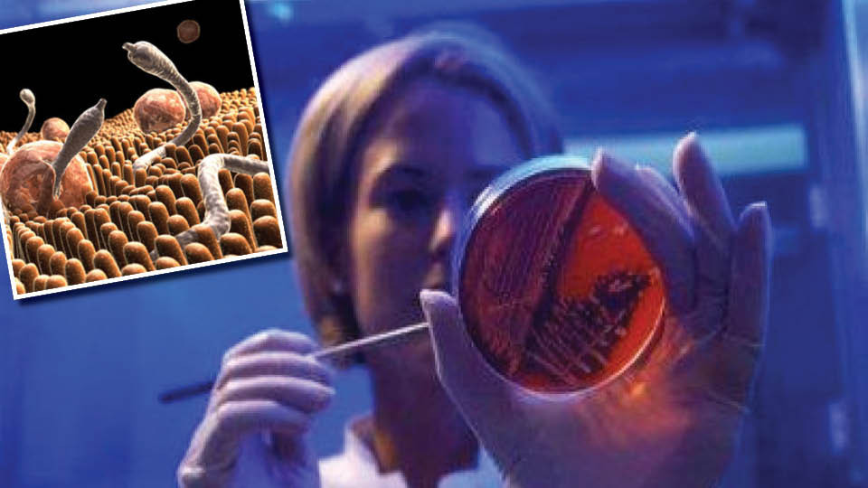 Защо антибиотикът спира да лекува | StandartNews.com