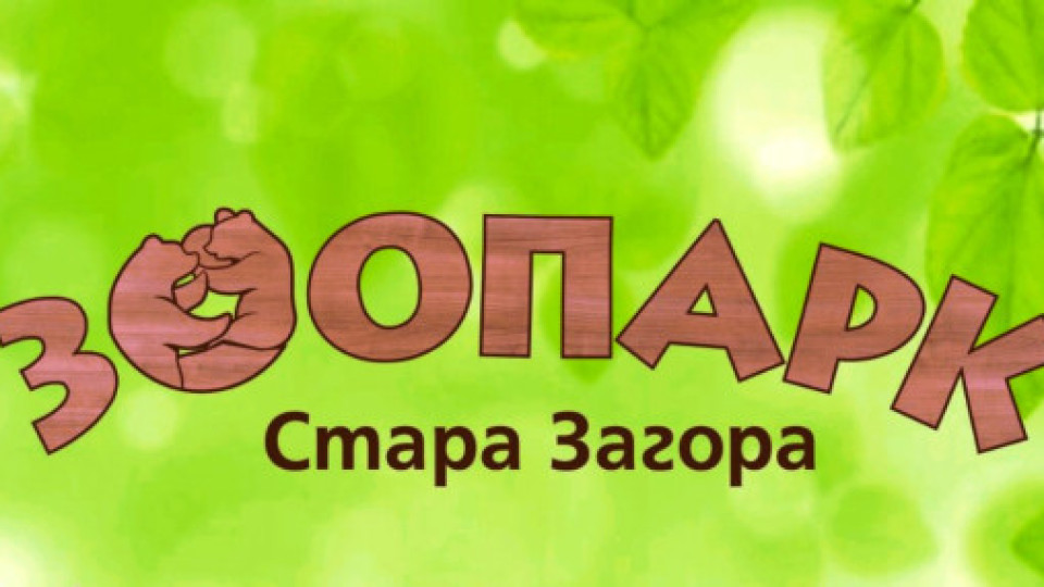 Зоопарк Стара Загора с интересни и полезни инициативи за малки и големи по повод 1 март | StandartNews.com