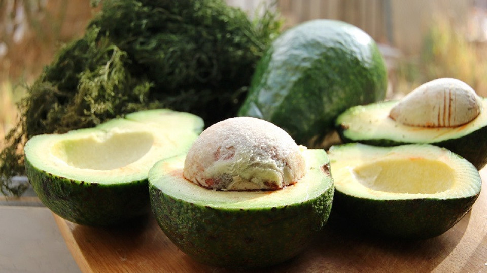 Изненада! Костилката на авокадо крие куп ползи | StandartNews.com