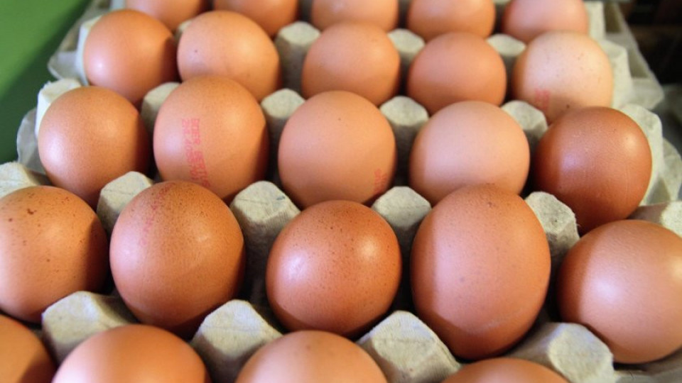 Българите недоумяват! Защо румънски яйца за Великден? | StandartNews.com