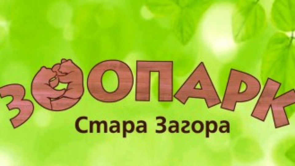 Пролетна зооваканция за ученици организира Зоопарк Стара Загора | StandartNews.com