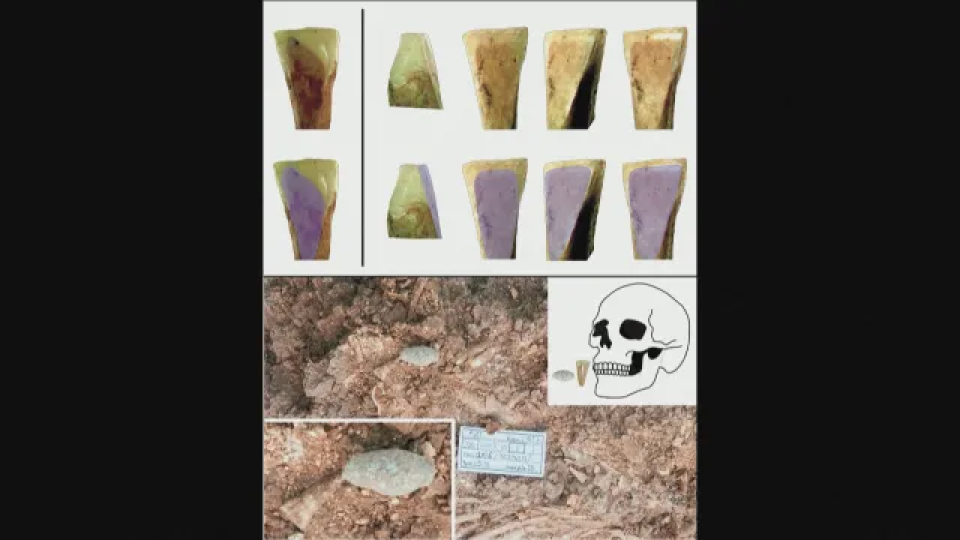 Археолози от Турция смаяха света. Невероятно откритие в Плодородния полумесец | StandartNews.com