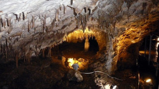 Отварят чудна пещера с 14 вида прилепи